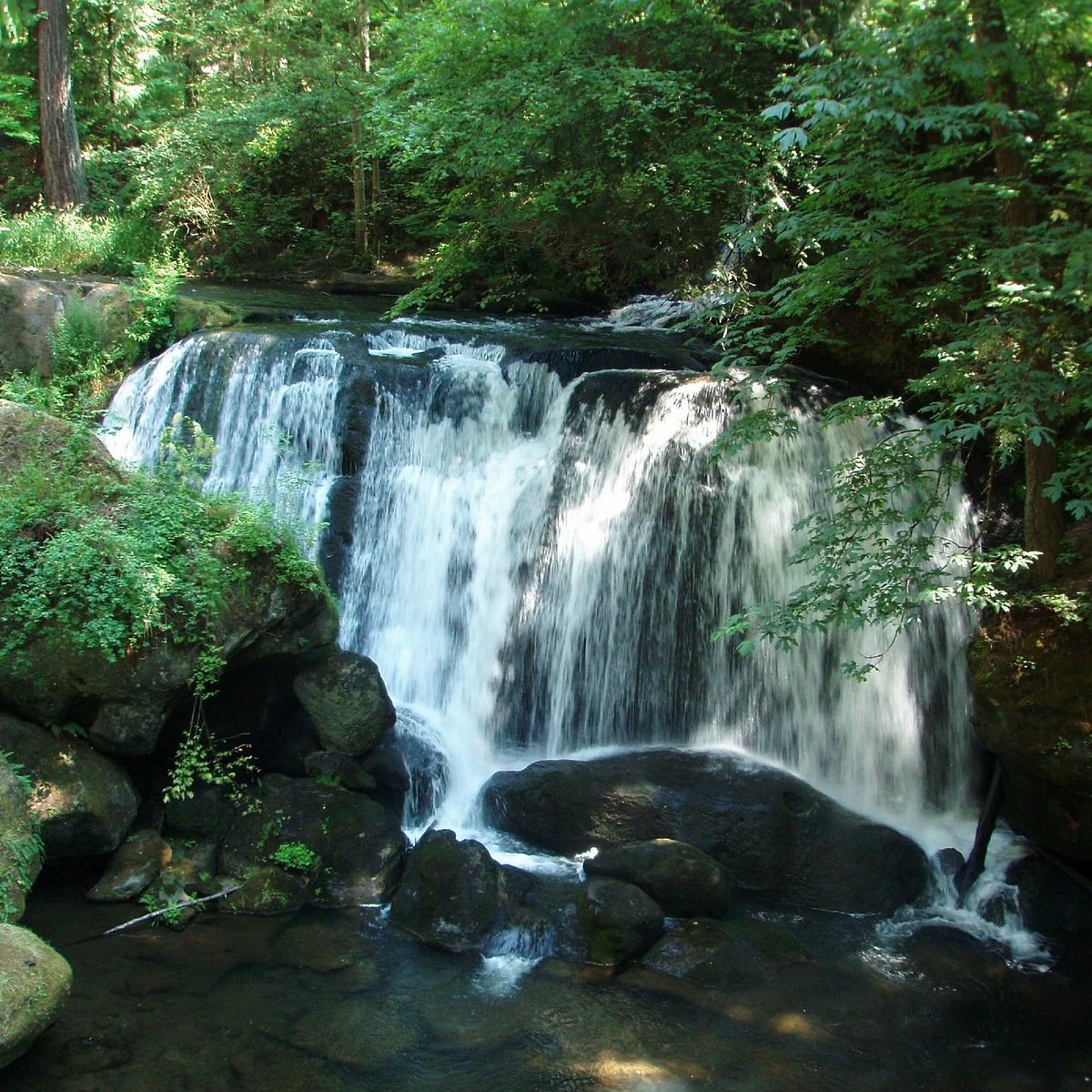 Whatcom Falls